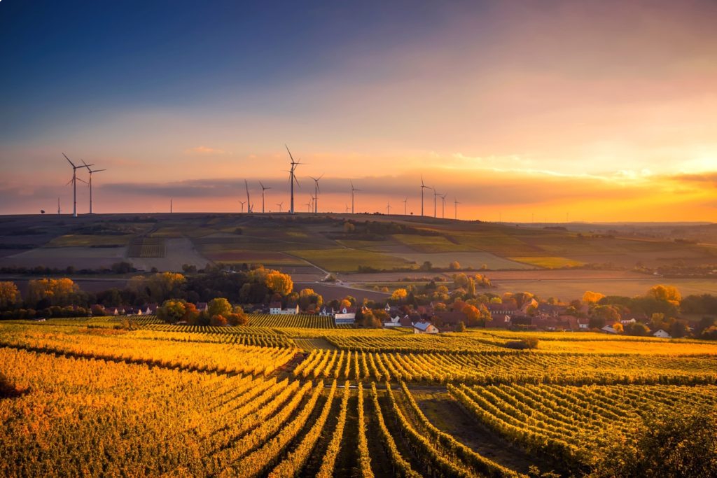 A experi�ncia de participar na EuroTier/EnergyDecentral Digital 2021