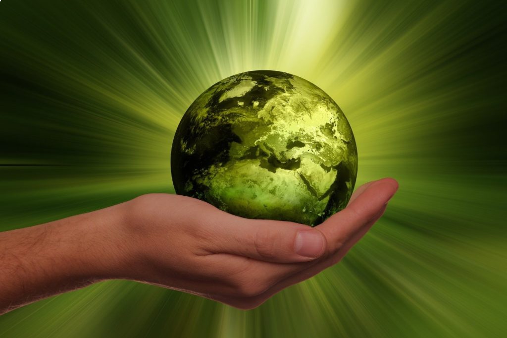Energias Sustent�veis: o que elas podem oferecer ao consumidor brasileiro